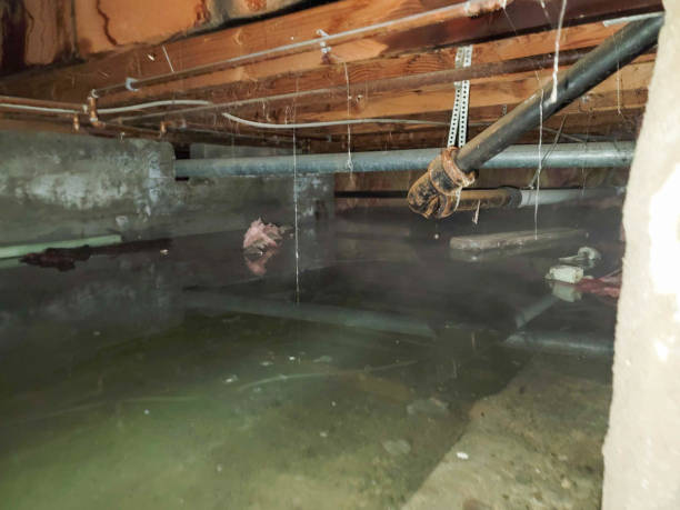 Best Flood restoration services  in Harleysville, PA