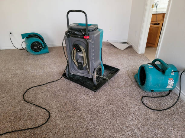 Best 24-hour water damage restoration  in Harleysville, PA