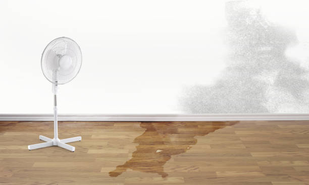 Best Sewage cleanup and water damage restoration  in Harleysville, PA