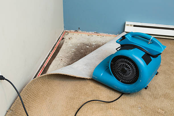 Best Mold removal after water damage  in Harleysville, PA